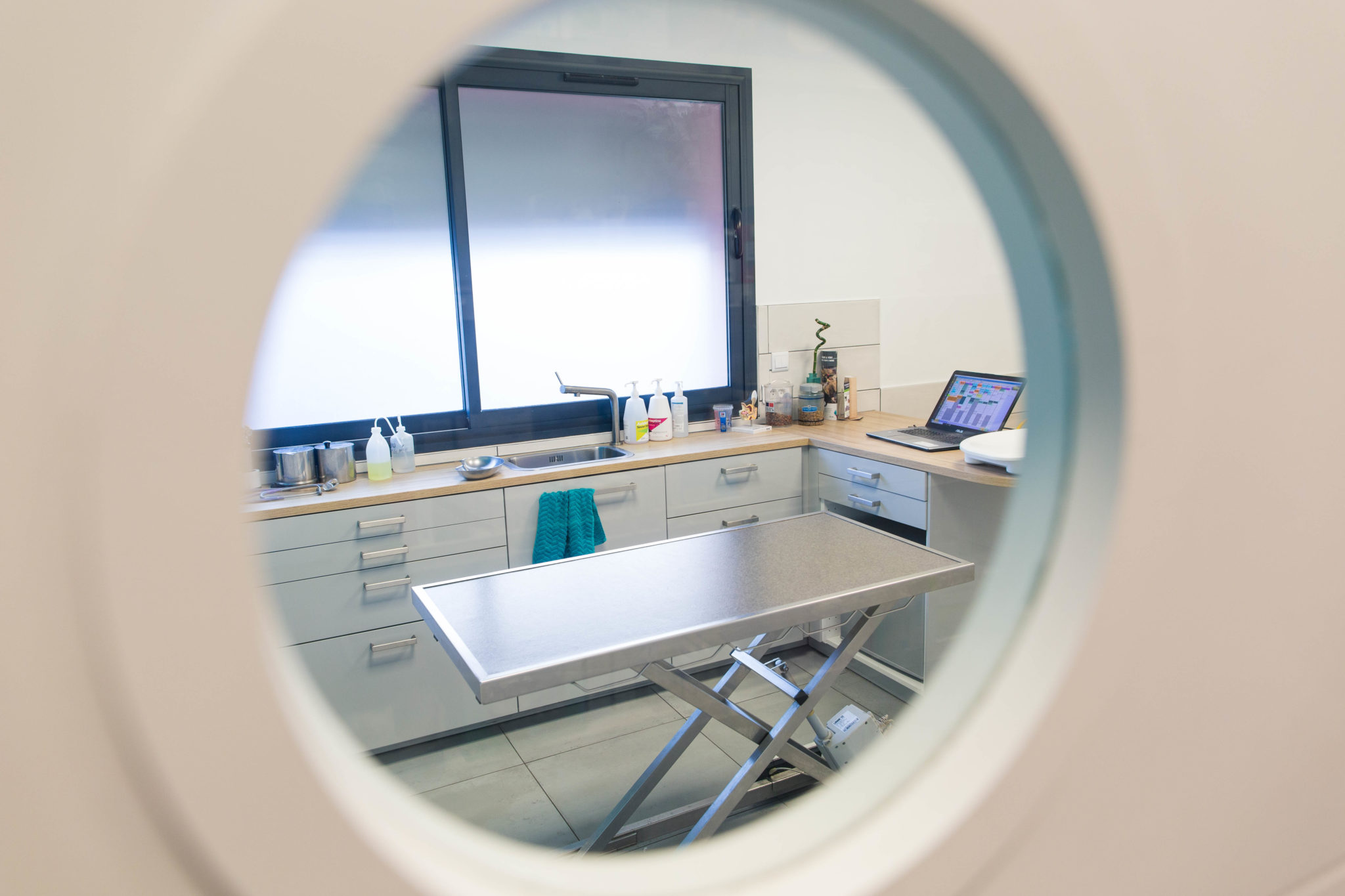 Clinique vétérinaire des Martégaux Vétérinaire à Marseille 12ème