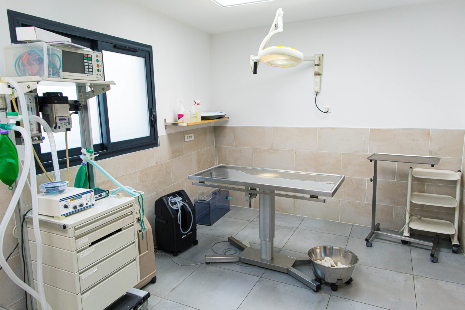 Clinique vétérinaire des Martégaux Vétérinaire à Marseille 12ème